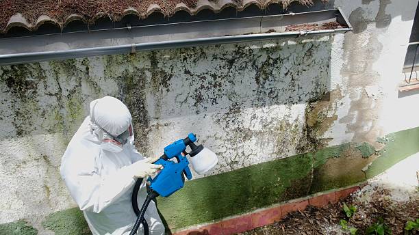 Trusted Commercial Mold Remediation service in Friedens, PA - Cheap Mold Removal